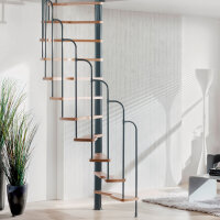 Escalier semi-hélicoïdal Skidoo 120 x 60cm,- 315cm (13 marches),Italo-Silver (argent)