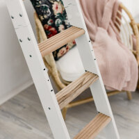 Échelle de meunier / escalier gain de place Move